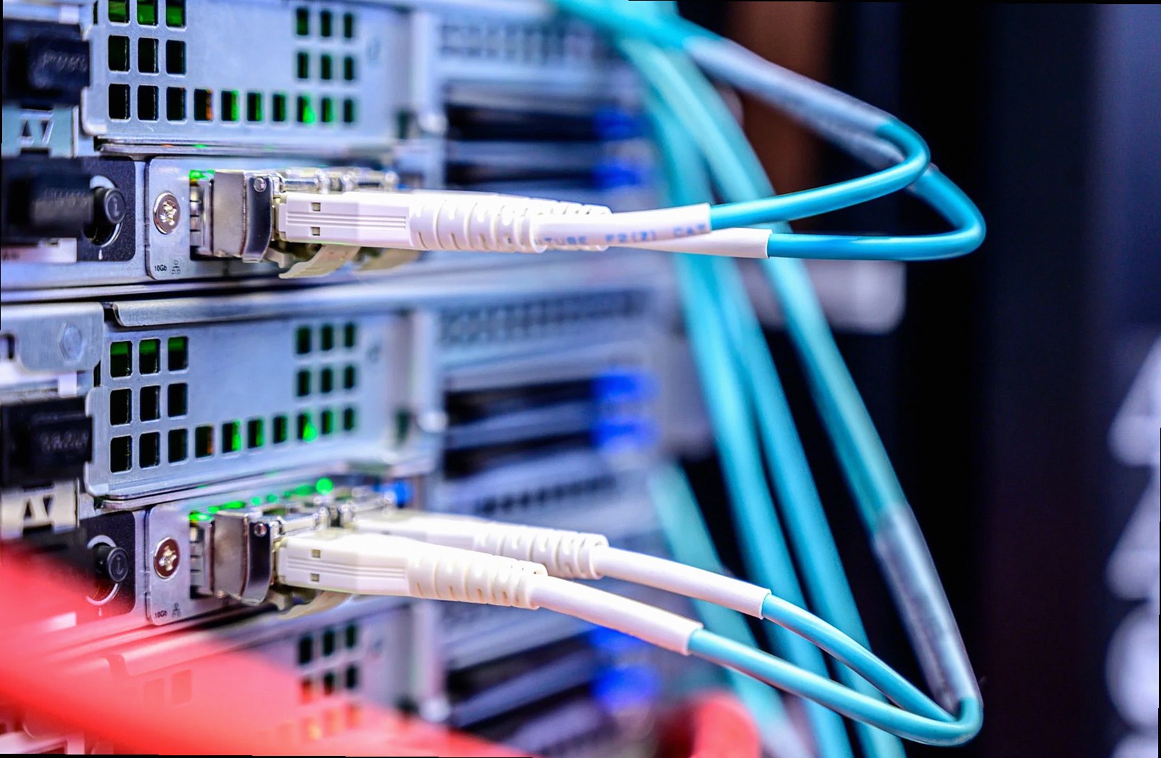 Detailed shot of Ethernet cables connected to server ports highlighting technology infrastructure.